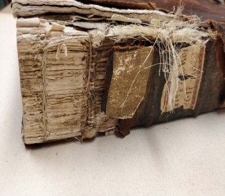 Buch einst